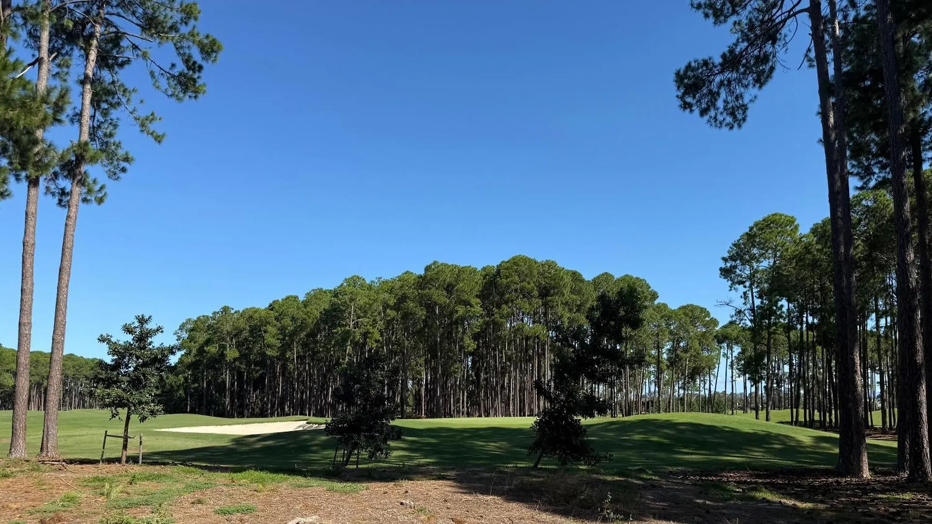 Pine Heaven Apartment Gold Coast